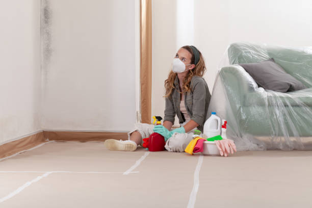 Reliable Mold Remediation contractor in Haymarket, VA by Cheap Mold Removal